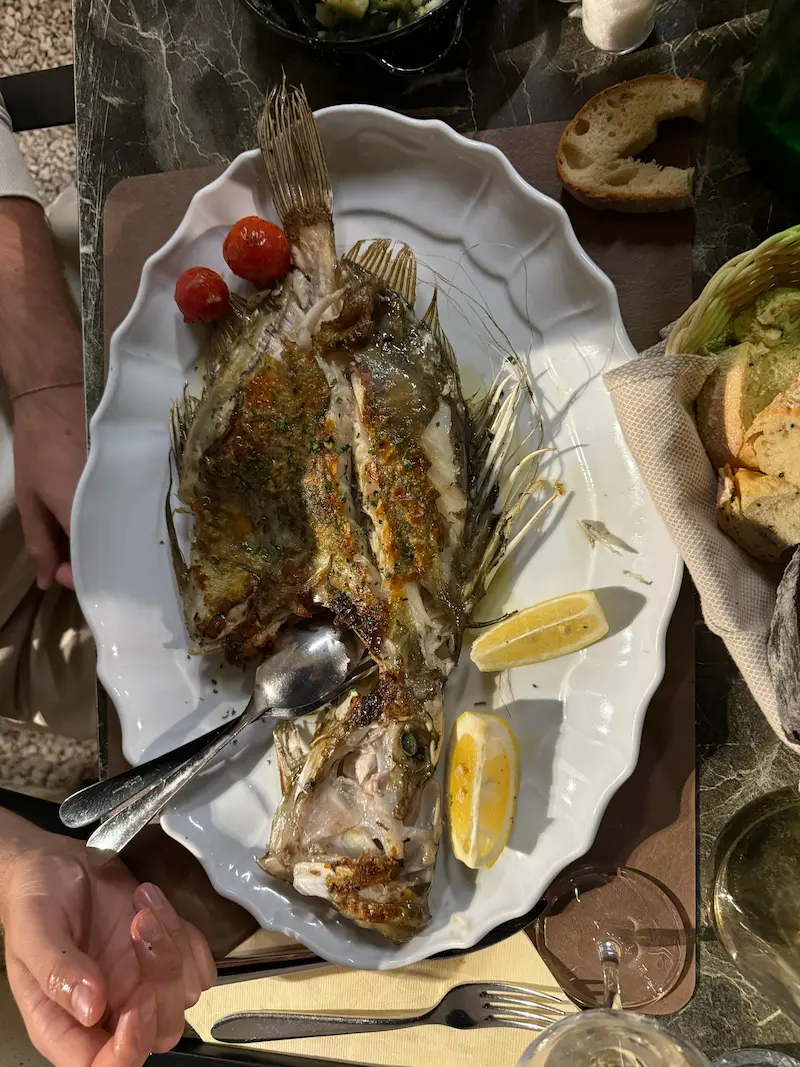 Traditional Croatian fish dinner with local family - authentic private dining experience behind closed doors